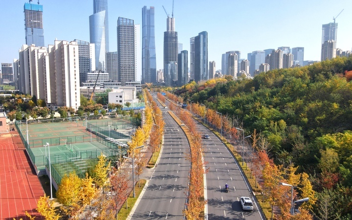 褪去“金甲”披“红装”，济南CBD迎来最美“叶”色