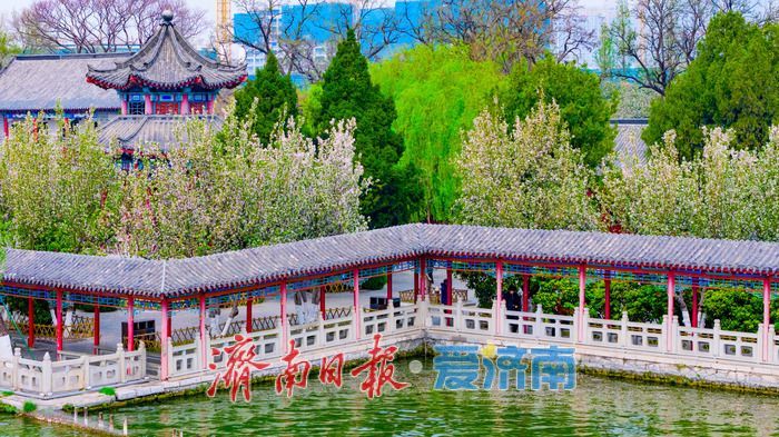 海棠盈香绕古亭 春韵满城醉明湖