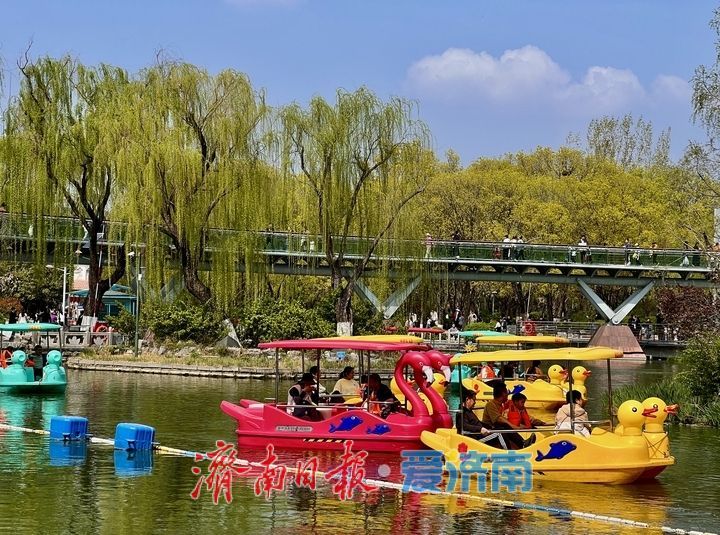 周末暖阳引客来 泉城春水泛舟忙