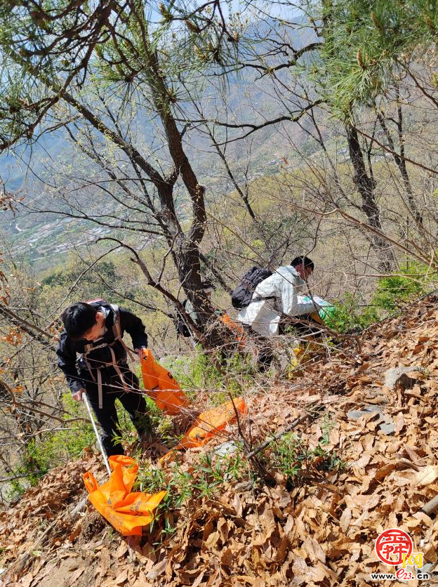 百人聚力净山野 生态守护筑青山 济南“一城山色”药乡森林公园百人净山活动圆满收官