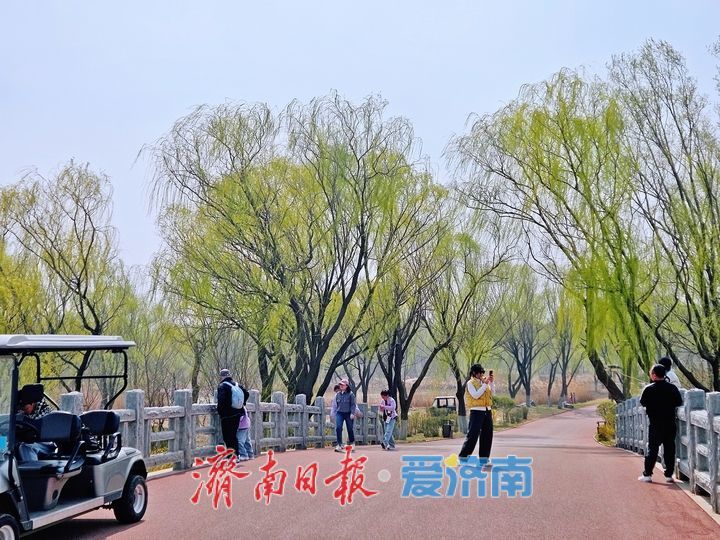 春染湿地美如画 生态济西迎客来