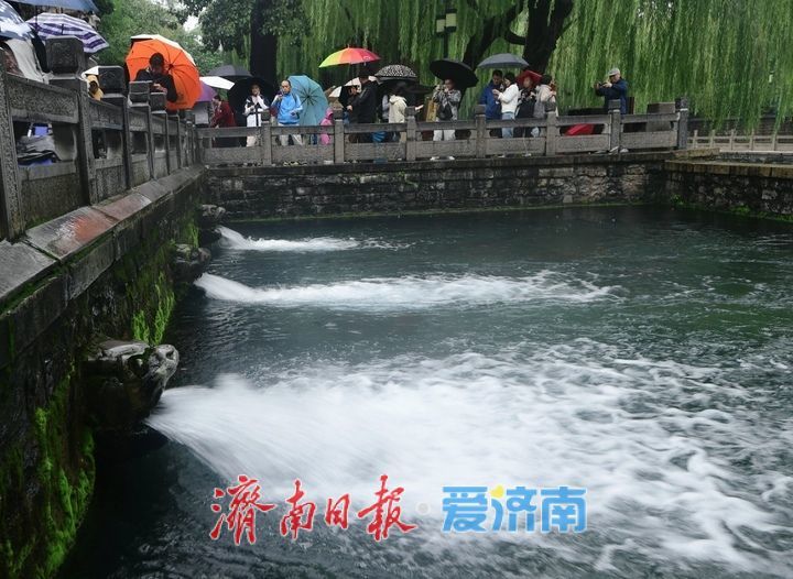 泉水水位屡创新高，黑虎泉版“清泉石上流”上线引人注目