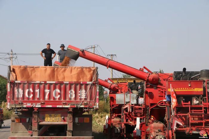 章丘官庄街道：沃野耕耘，乡村蝶变振兴有道