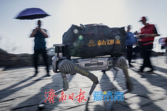 泰山之巅的对话——千年挑山工与科技机器狗并肩护生态