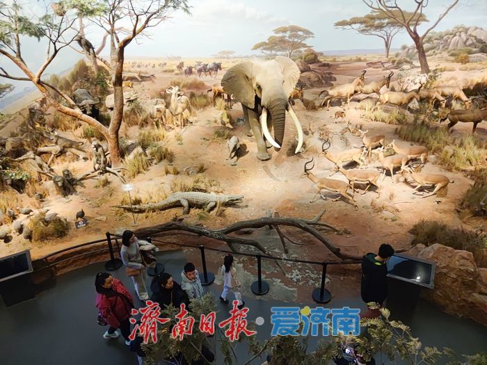 一年四季 泉在济南丨寒假乐享文化盛宴