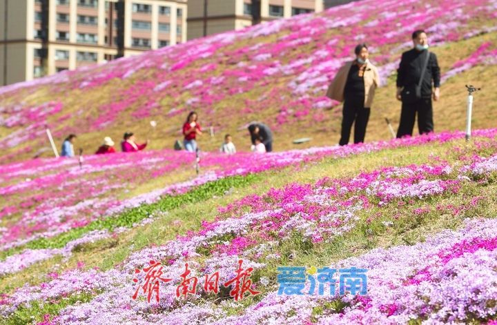 假期最后一天，济南这些地方不要错过！