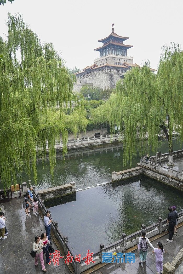 一年四季 泉在济南丨夏雨送清凉，济南护城河畔风景如画