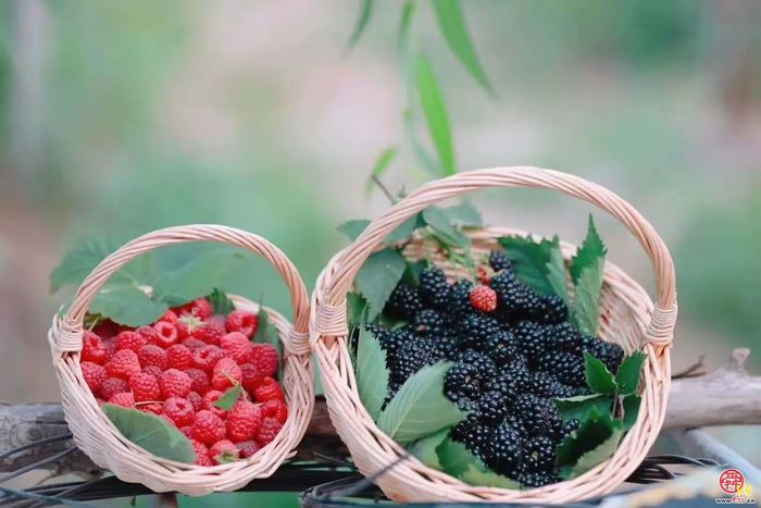 “这里是章丘！”·美食篇·龙山
