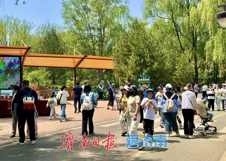 一年四季 泉在济南｜济南野生动物世界人气爆棚