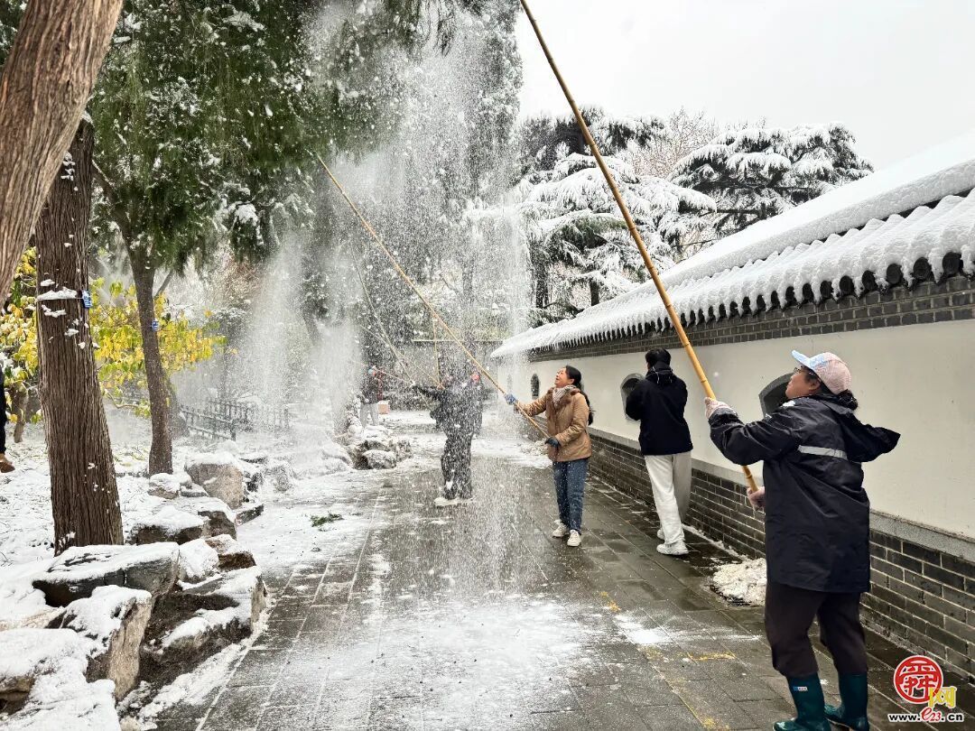 以雪为令践初心，千佛山、动物园等9个公园景区全力护航雪日游园安全