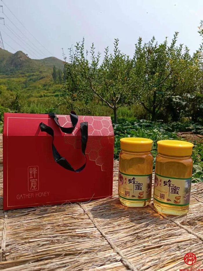 章丘宣讲带您走进舌尖上的“椿”天