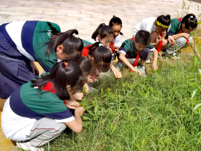 高新区景汇小学开展秋分习俗主题活动