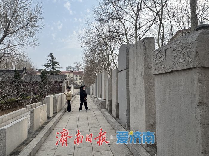 一年四季 泉在济南丨春日崇孝苑 古韵伴春光