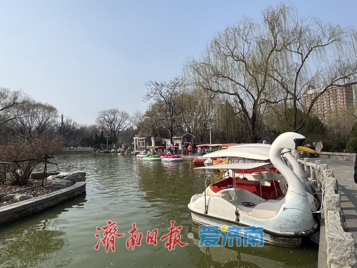 雨霁春光暖 泛舟享春意