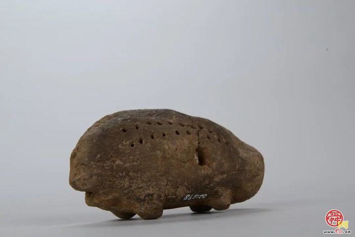 章丘区：来自8000年前的“猪猪快递”正在派送中