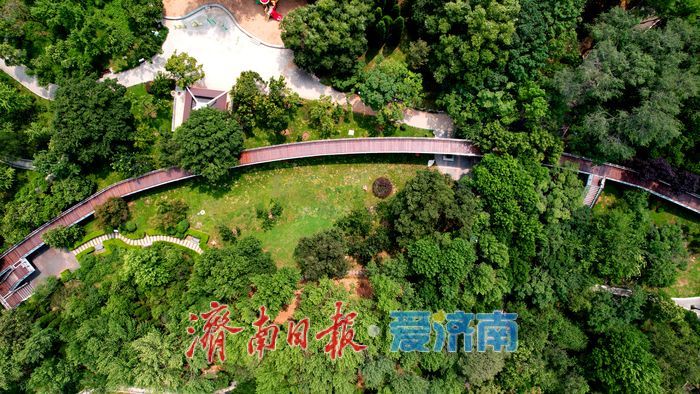 一年四季 泉在济南丨初秋泉城公园绿意未减色更浓
