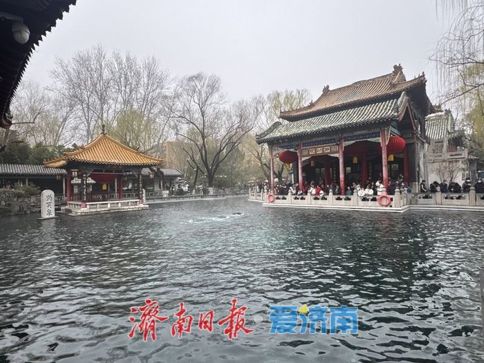 一年四季 泉在济南丨春风拂泉城 趵突涌春意