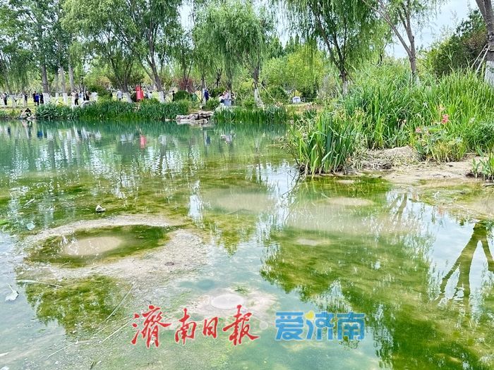 清泉潺潺，白泉公园好消夏