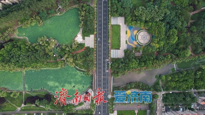 一年四季 泉在济南丨雨后莲河公园绿意盎然如城市 “绿肺”