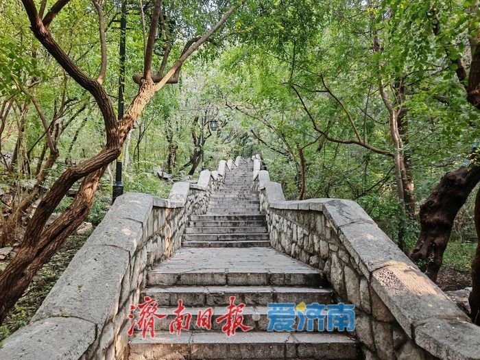 泉城秋日现“空中快递员”，千佛山无人机外卖航线引围观