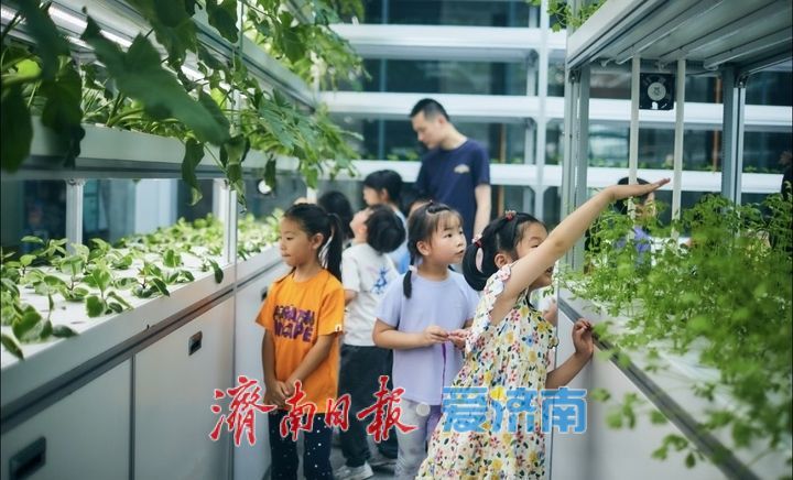 趵眼丨从“固本”到“提质”，乡村振兴这样进阶