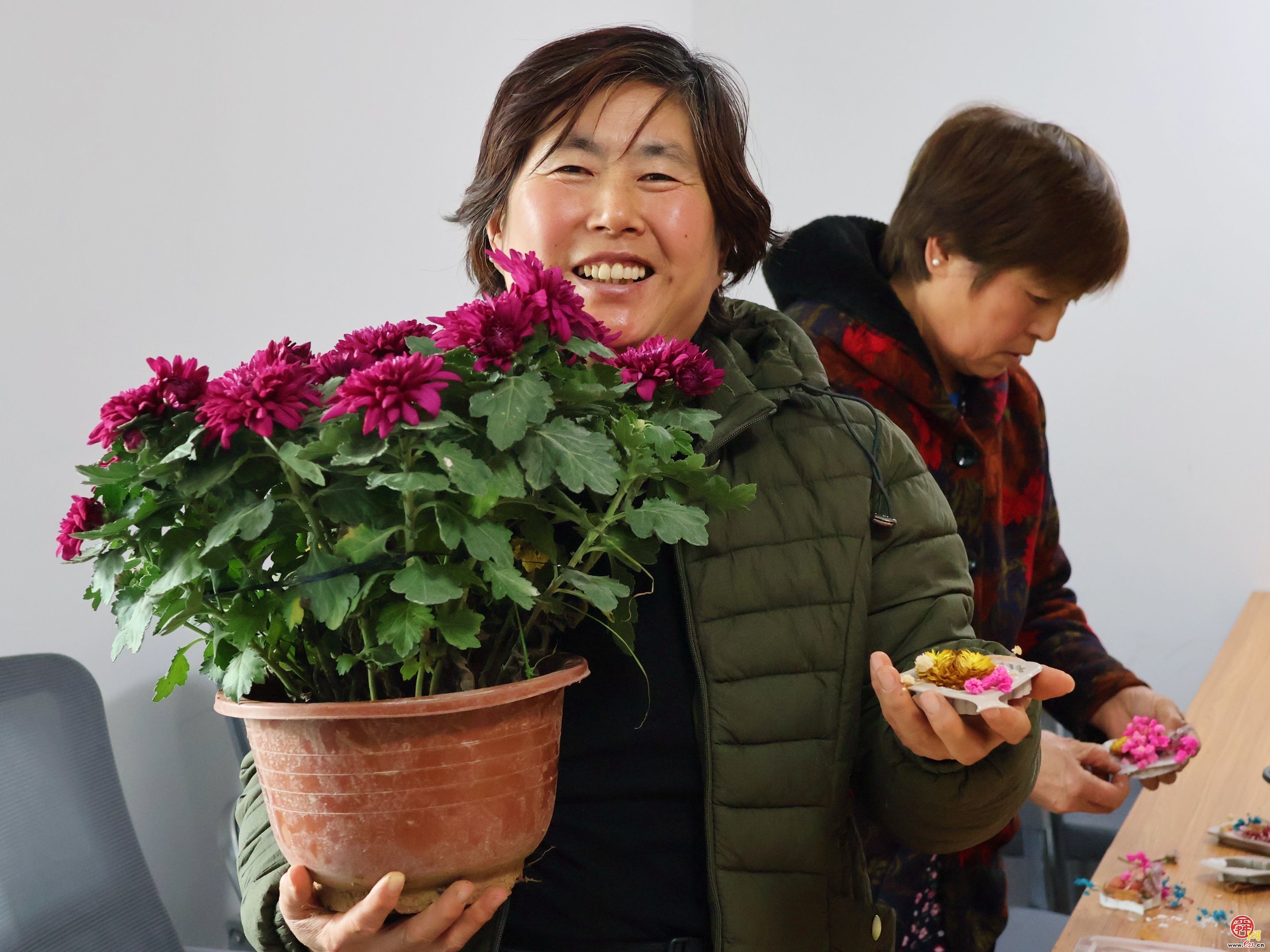 添秋韵！济南“园・林惠民行”开展“菊香泉城・手作拾秋”主题科普体验活动