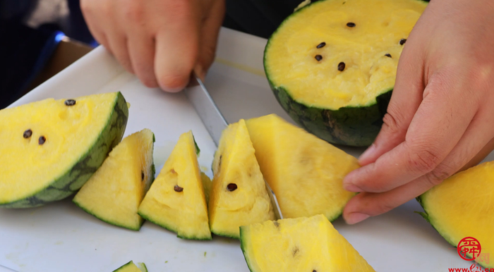 尝第一口鲜甜!济南仁风、太平宝西瓜领衔泉水人家“西瓜宴”