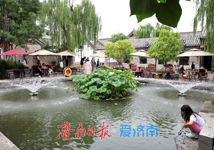一年四季 泉在济南丨百花洲荷风泉韵引游人消暑赏景