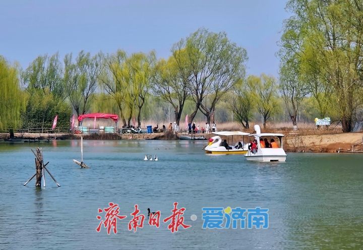 一年四季 泉在济南丨济西湿地泛舟尽享春日生态之美