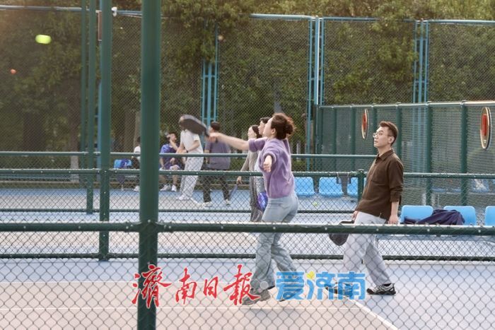 山东省体育中心匹克球场周末人气火爆 新兴运动成市民休闲新宠