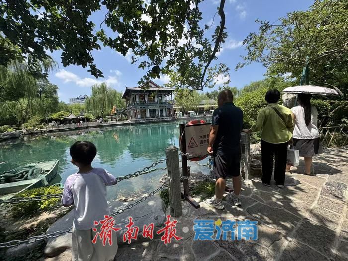 碧空如洗映龙潭 泉水绿树绘就泉城夏日画卷