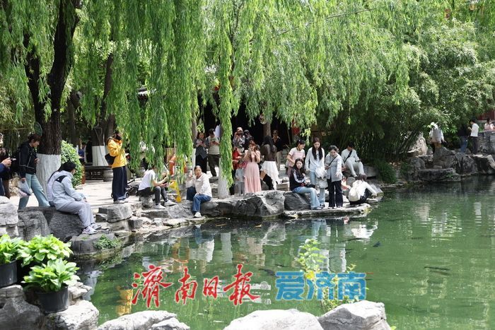 五一假期临近，济南泉水游提前升温
