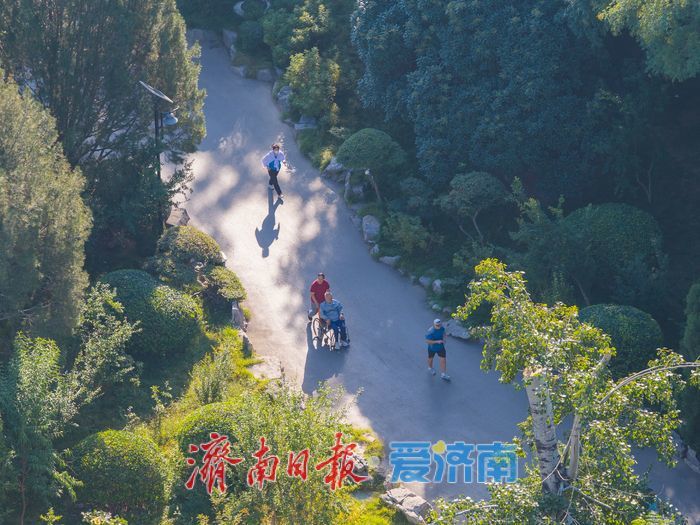 一年四季 泉在济南｜城芯林海秋意浓，济南百花公园扮靓泉城宜居空间