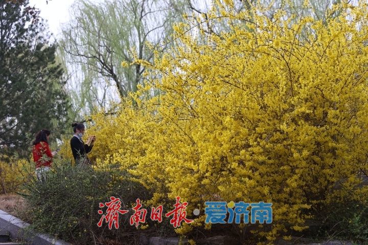 春暖花开景色宜 游园踏青享春光