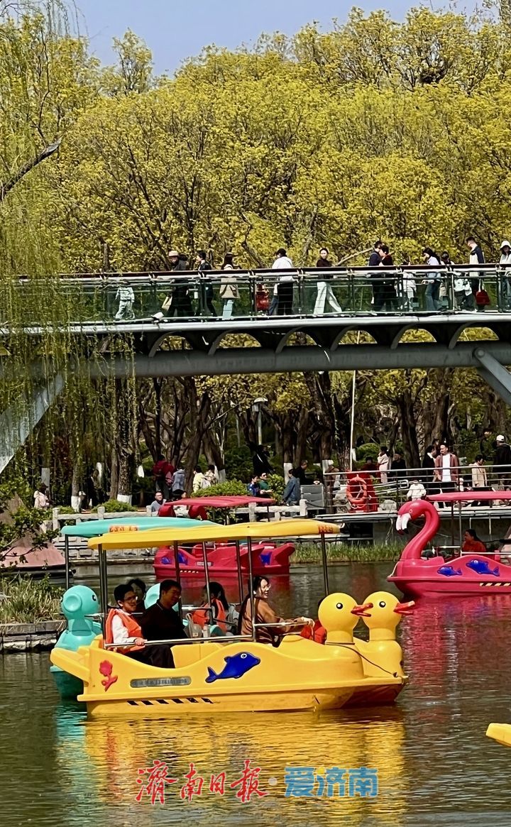 周末暖阳引客来 泉城春水泛舟忙