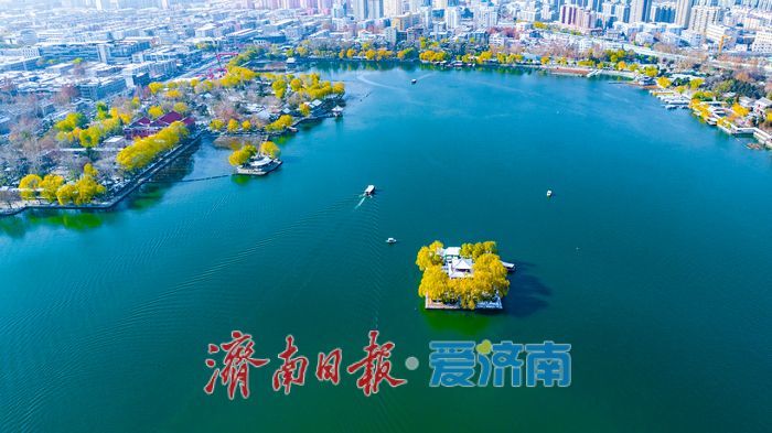 雪霁泉城！大明湖变身冬日画卷引客来