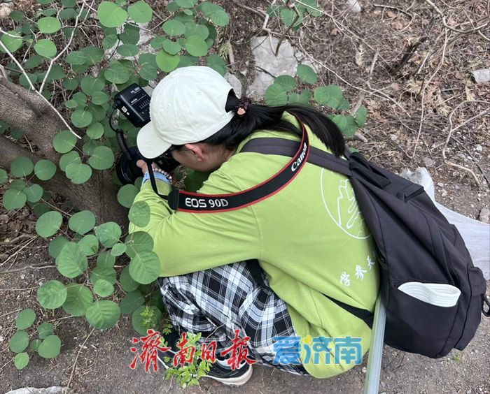 山东新记录197种，市中区新发现为生物多样性添彩