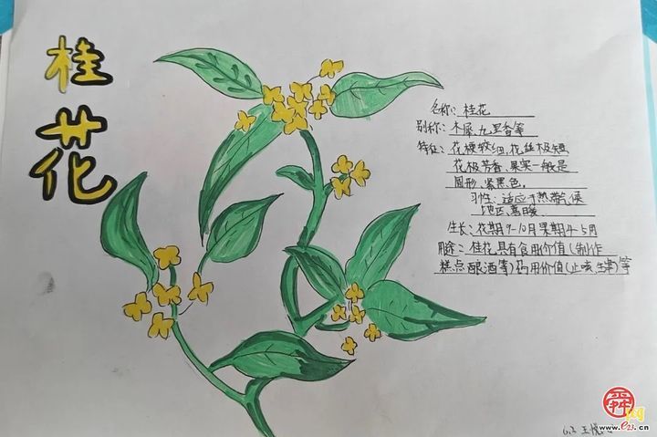 春光作序 植此新绿——济南市历下区龙奥学校植树节主题活动