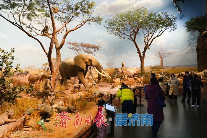 一年四季 泉在济南丨寒假乐享文化盛宴