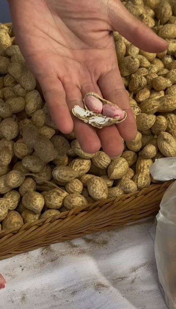 五彩草莓、平阴玫瑰衍生产品等特色品牌在丰收节吸引市民购买