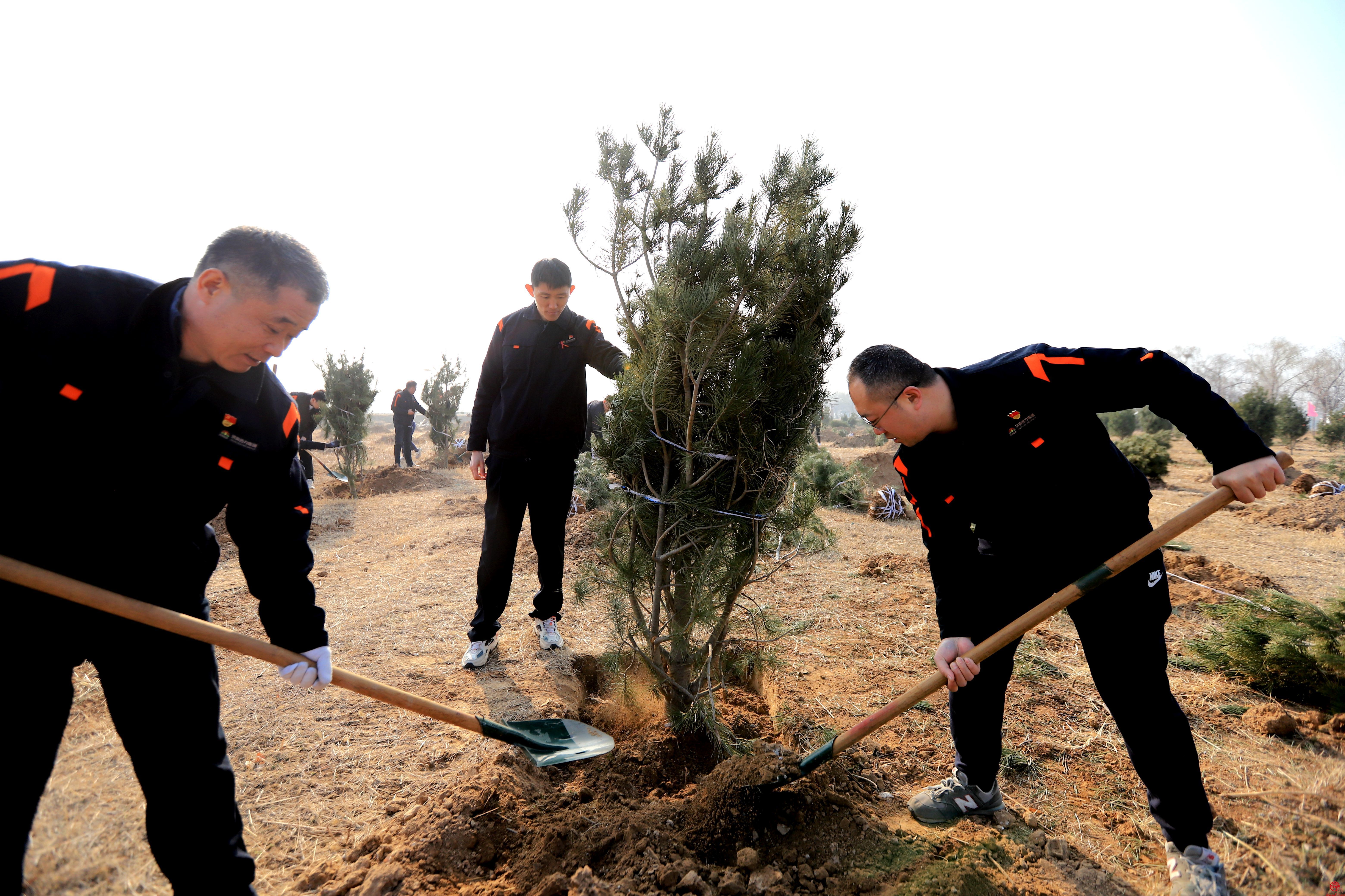 植绿正当时｜ok138cn太阳集团组织党员和团员青年开展义务植树活动