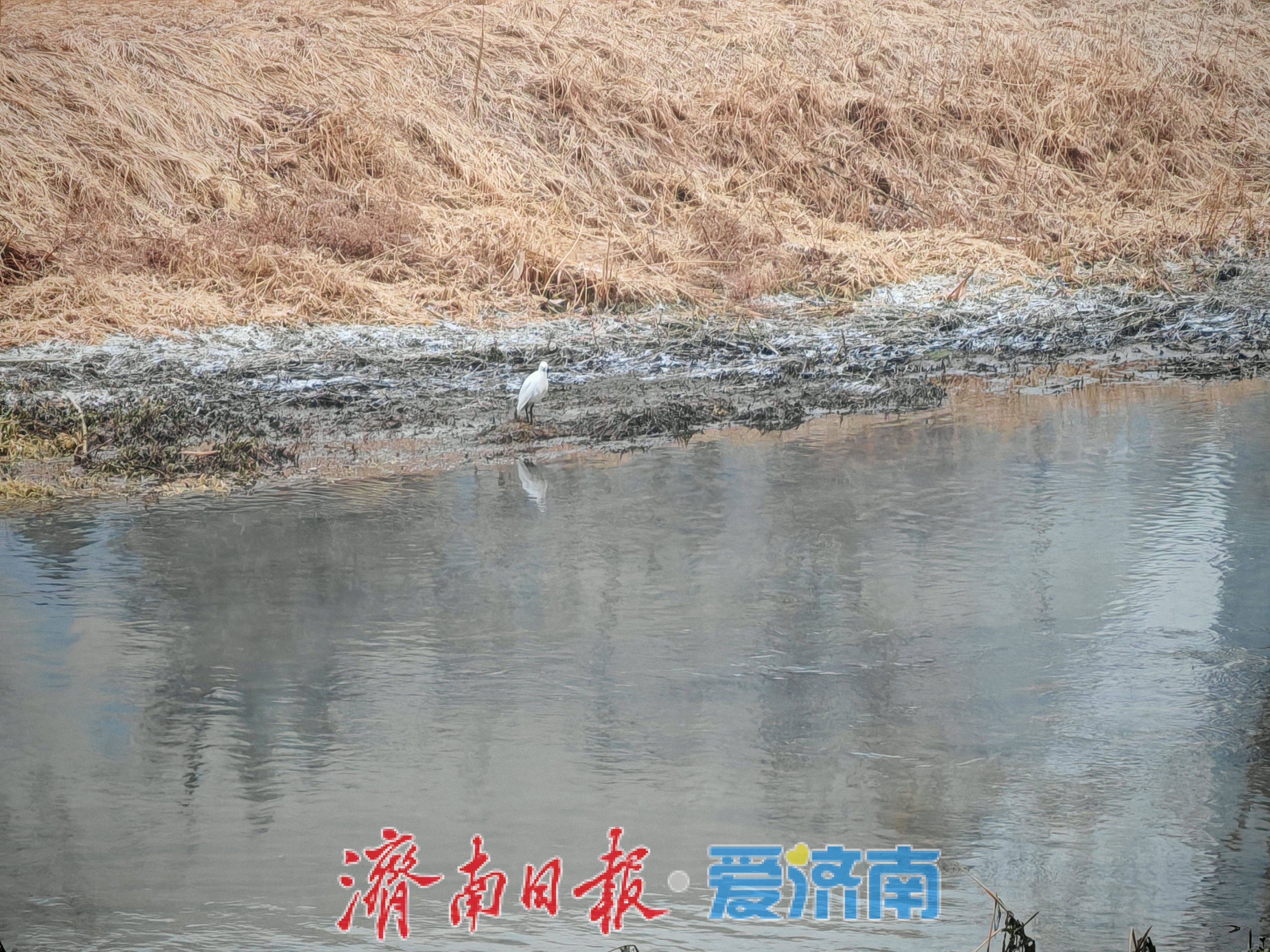 一年四季 泉在济南丨腊山河冬日现“仙境”  温差云雾绘就生态画卷