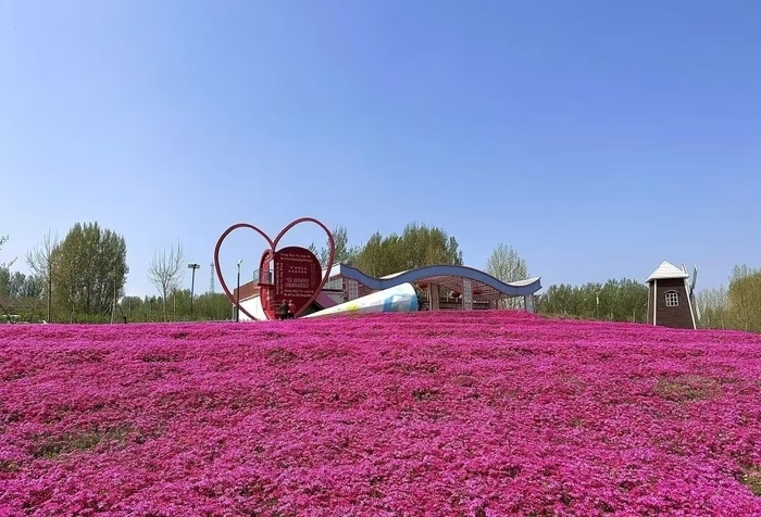 山泉花海为盟，“打卡”济南“公园式”婚姻登记点