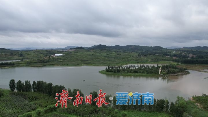 一年四季 泉在济南丨雨后大冶水库烟雨朦胧白鹭飞