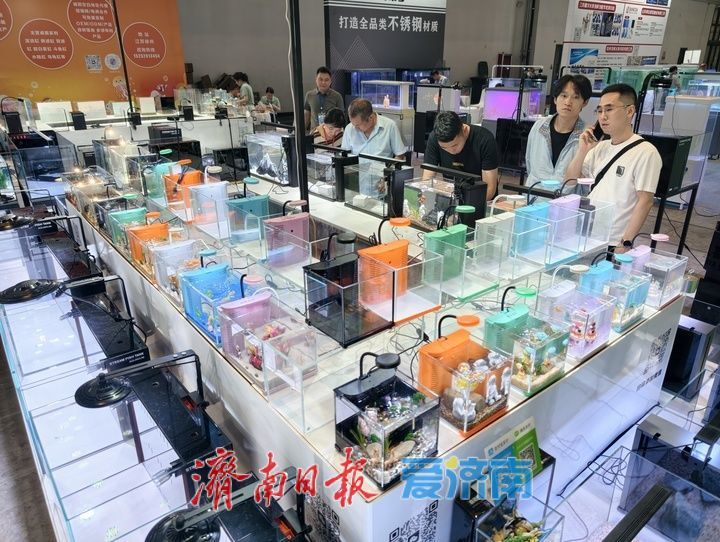 第十三届山东国际水族用品展览会火热启幕