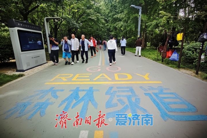 秋日打卡森林绿道，在天然氧吧里快乐健身