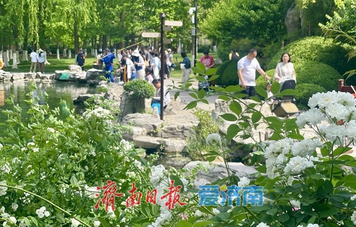 一年四季 泉在济南｜泉城景区预热“五一”