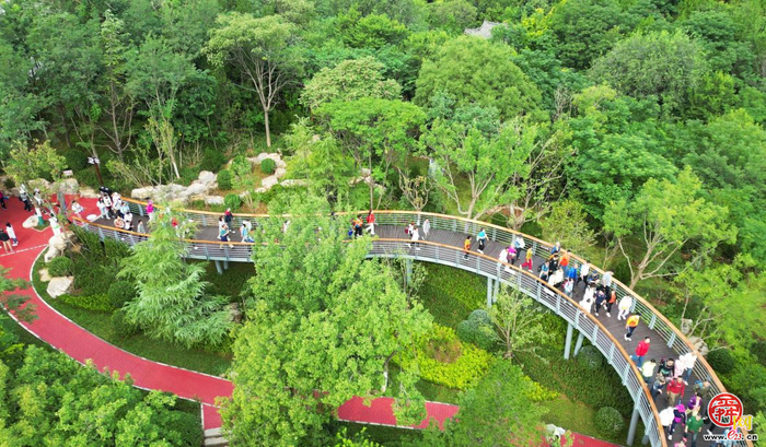 济南市园林和林业绿化局：聚力实施“百姓园林家边公园”建设 让城市因园林更美好 让生活因园林更幸福