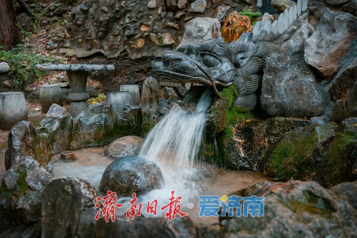 一年四季 泉在济南丨涌泉竹林景区泉竹相依，市民山间赏泉纳凉的好去处