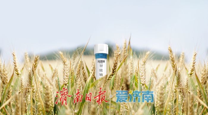 深蓝智谱：以科技赋能更高水平“齐鲁粮仓”建设